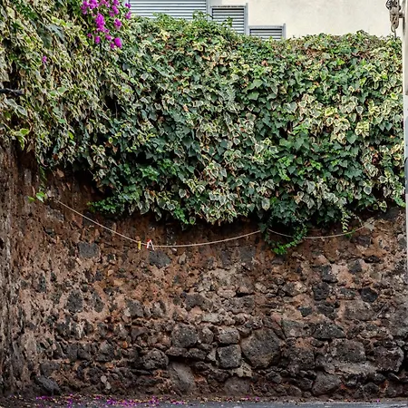 Casa Del Citrato Catania